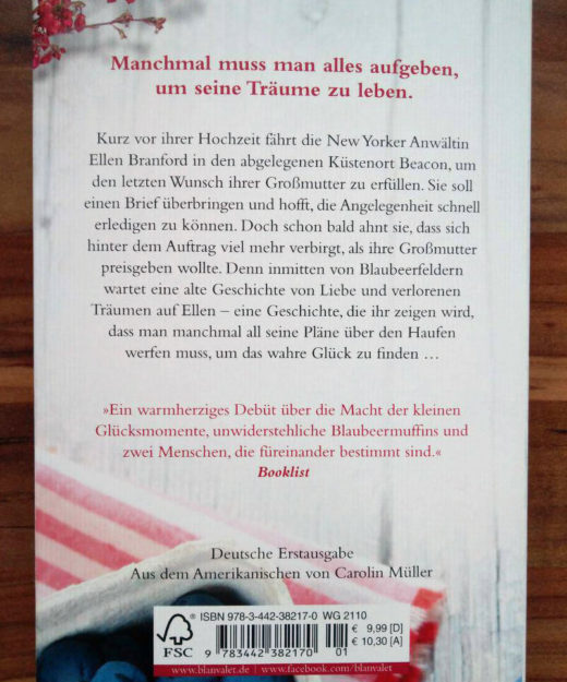 Mary Simses Der Sommer der Blaubeeren Rezension Buch