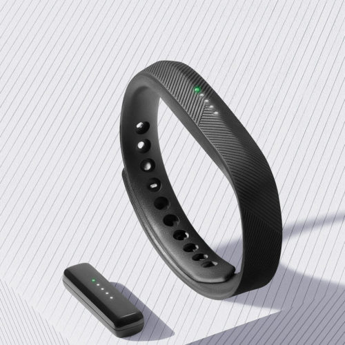 Fitbit Flex 2 Test Fitness Tracker Armband