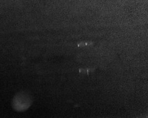 Eine weitere Aufnahme des Zavarius Nachtsichtgeräts.