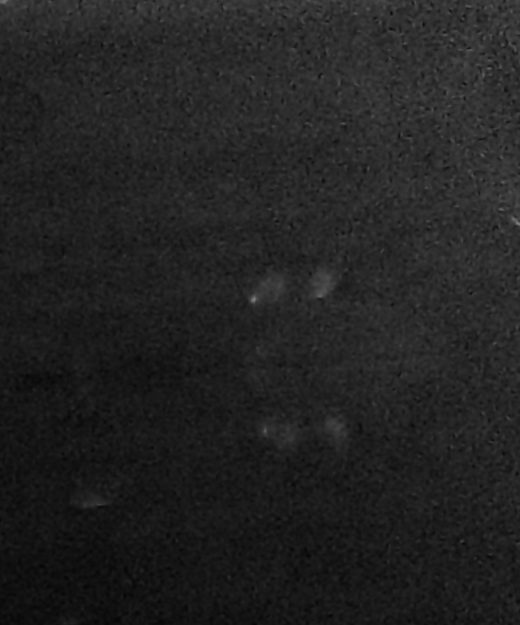Das digitale Nachtsichtgerät deckt auf: Zwei Jugendliche mit ihren Smartphones am See.