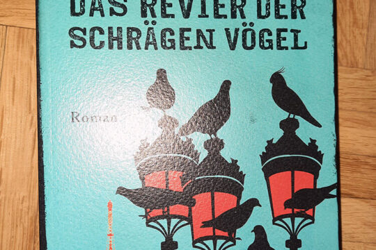 Der Roman von Sophie Hénaff - Das Revier der schrägen Vögel sieht auch optisch etwas schräg aus.