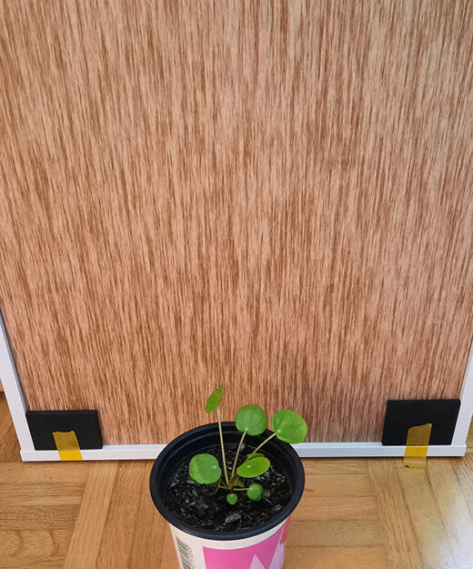 Minigrow One Growbox (12)