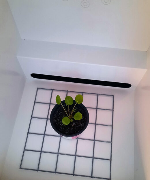 Minigrow One Growbox (14)