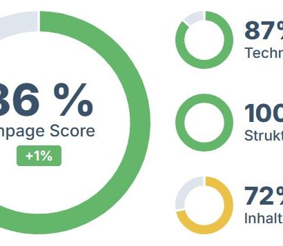 Seobility Test: Seobility Onpage Score Website Zustand