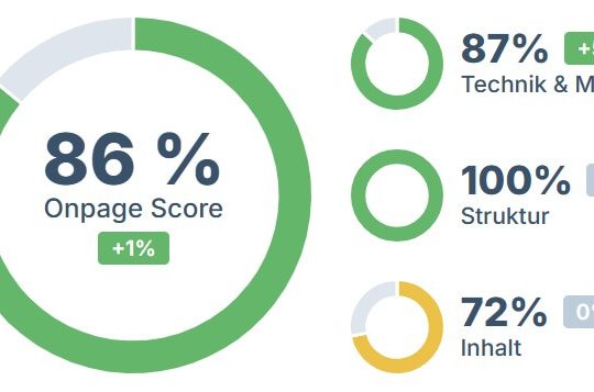 Seobility Test: Seobility Onpage Score Website Zustand