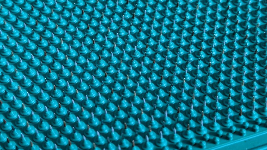 So sehen die Nadeln des Lyapko Kissens in Nahaufnahme aus. Achtung, stachelig.